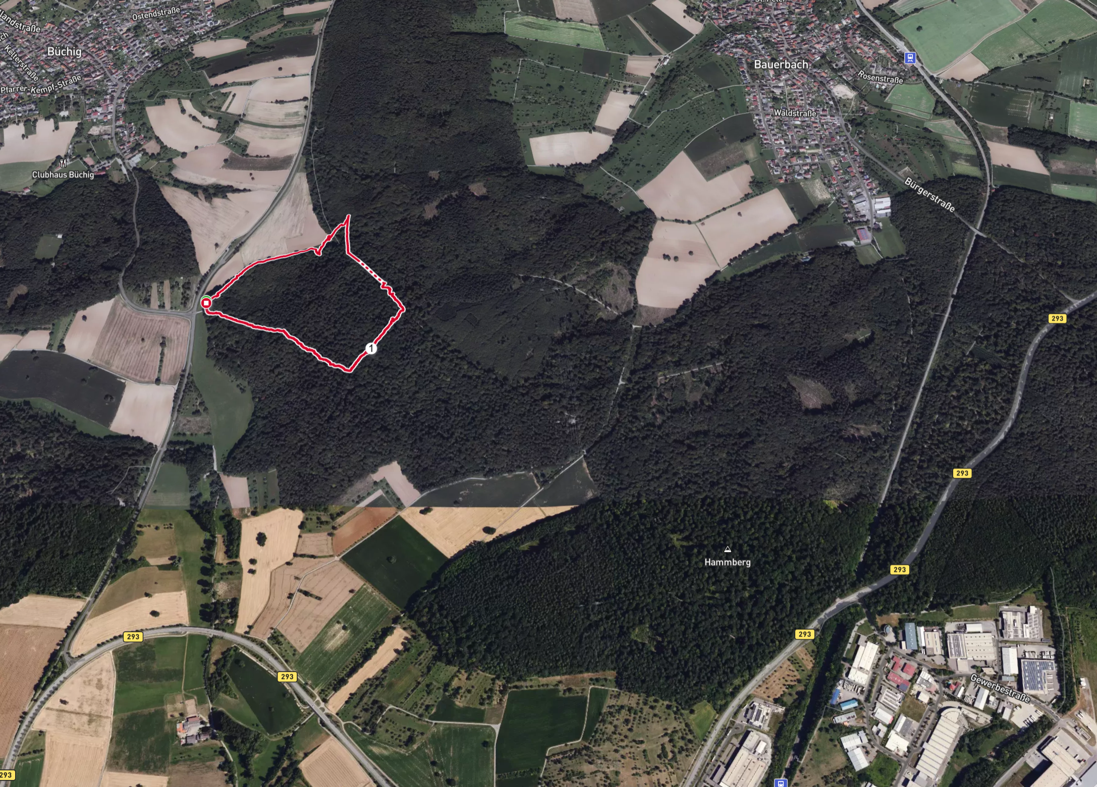 Kurze Walking/Wanderstrecke - ca. 1,5km